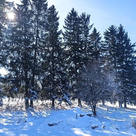 Дом отдыха Dom Na Mazurach Z Widokiem Na Jedwabno